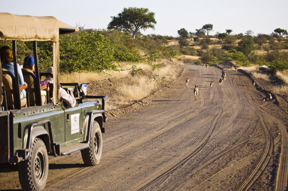 Tuli Safari Lodge Lentswelemoriti Экстерьер фото